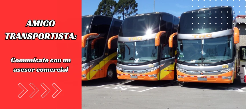 TRANSPORTISTA