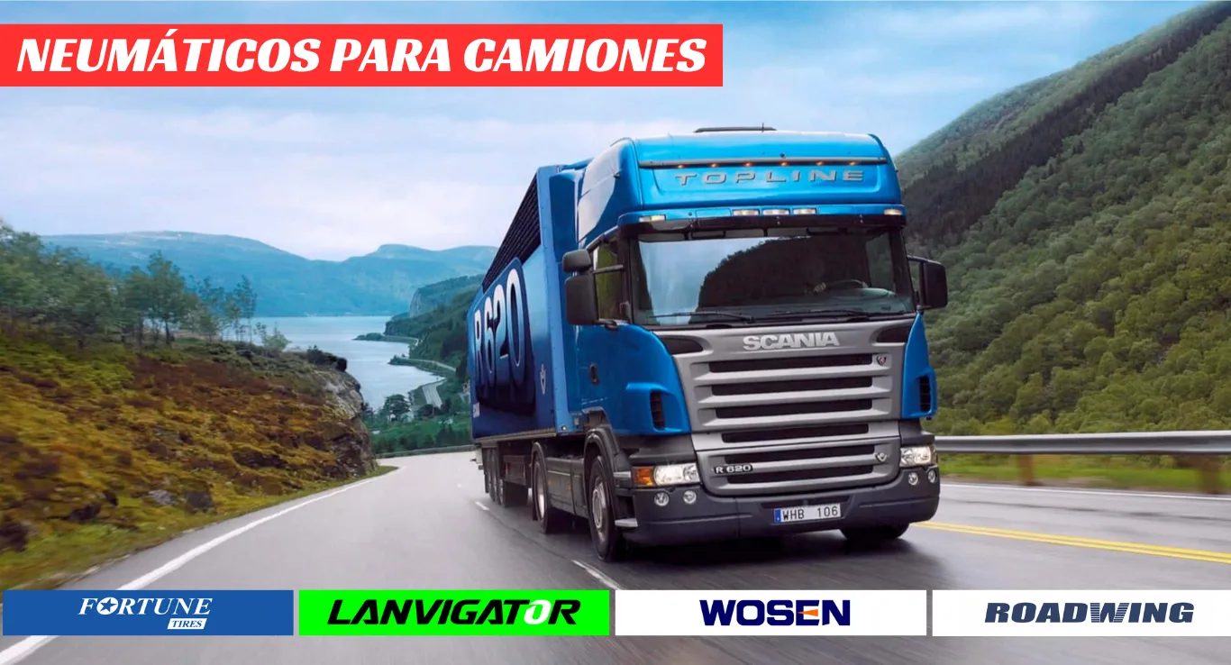 NEUMATICOS PARA CAMIONES